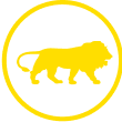 made-in-india