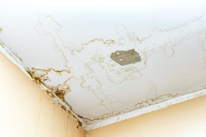 Fix Water Seepage Issues With Waterproofing Experts